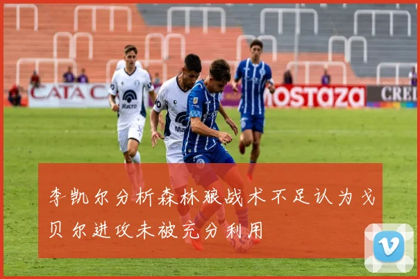 李凯尔分析森林狼战术不足认为戈贝尔进攻未被充分利用
